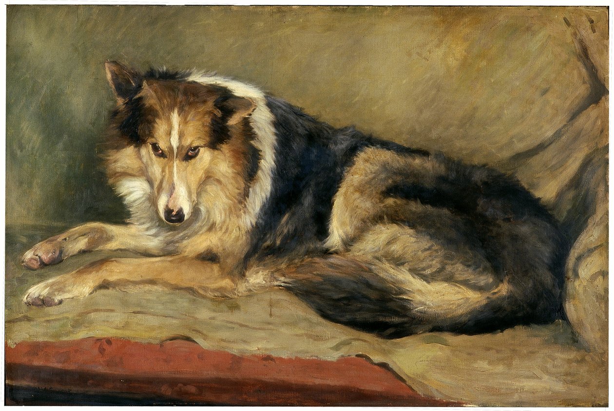 Collie hund av William Henry Charlton