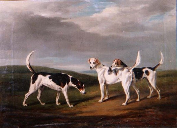 Revehunder i et landskap av William Henry Davis