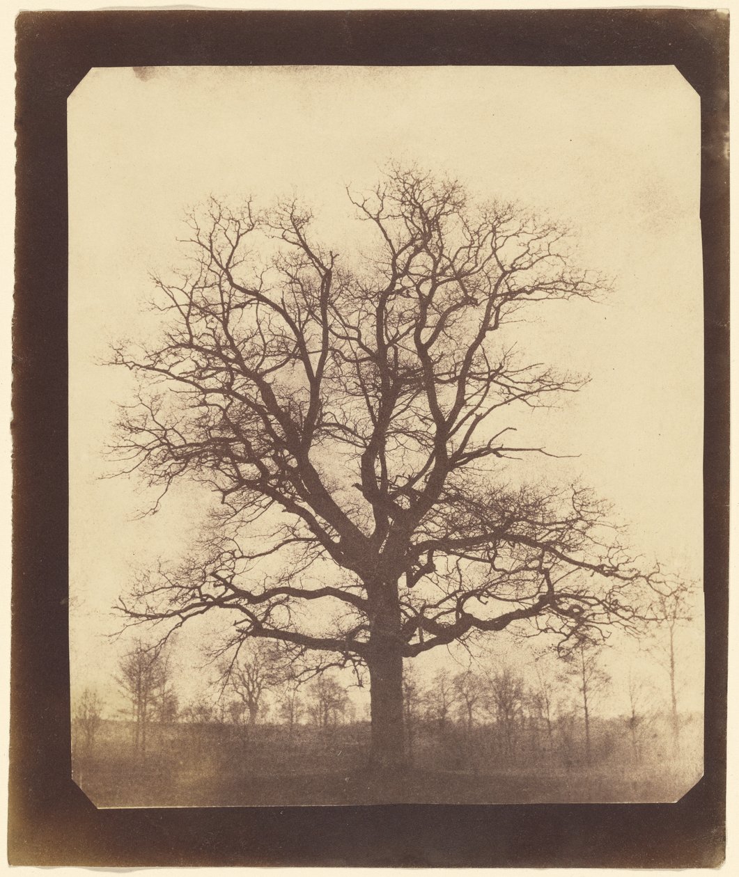  av William Henry Fox Talbot