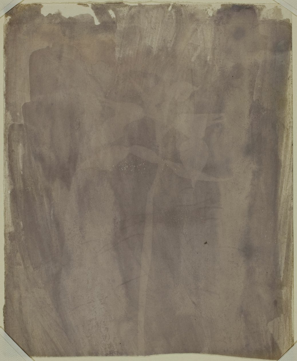  av William Henry Fox Talbot