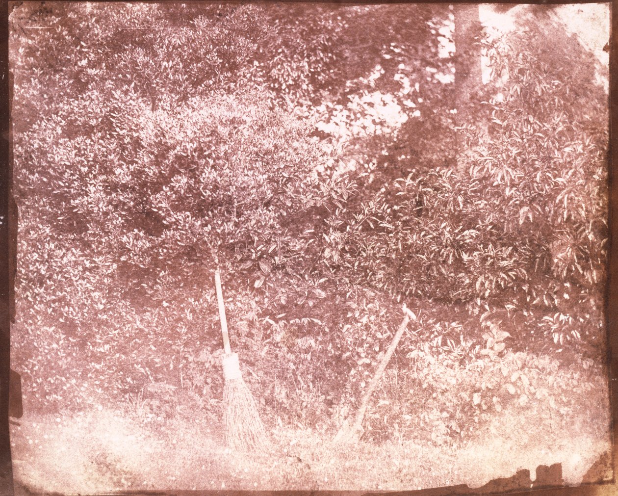 Kost og spade, 1842 av William Henry Fox Talbot
