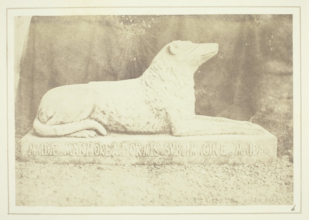  av William Henry Fox Talbot