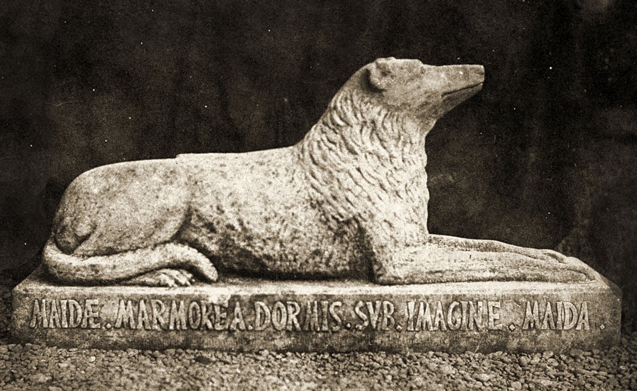 Statue av Maida, rapportert å være Sir Walter Scotts favoritthund. (sepia bilde) av William Henry Fox Talbot