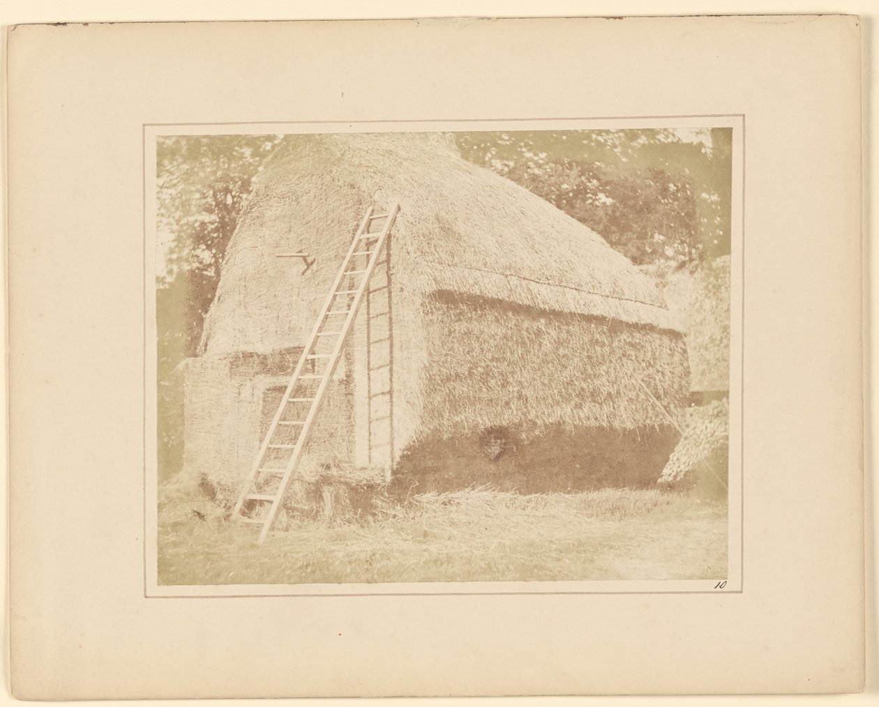  av William Henry Fox Talbot