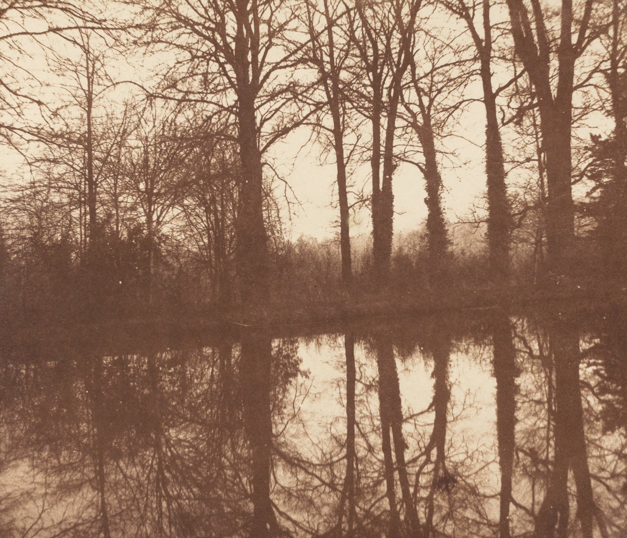 Vintertrær, reflektert i en dam av William Henry Fox Talbot