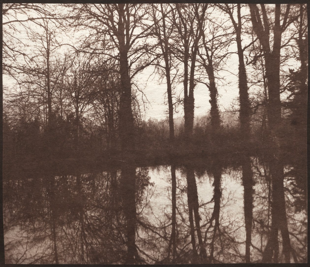 Vintertrær reflektert i en dam, 1841-42. av William Henry Fox Talbot