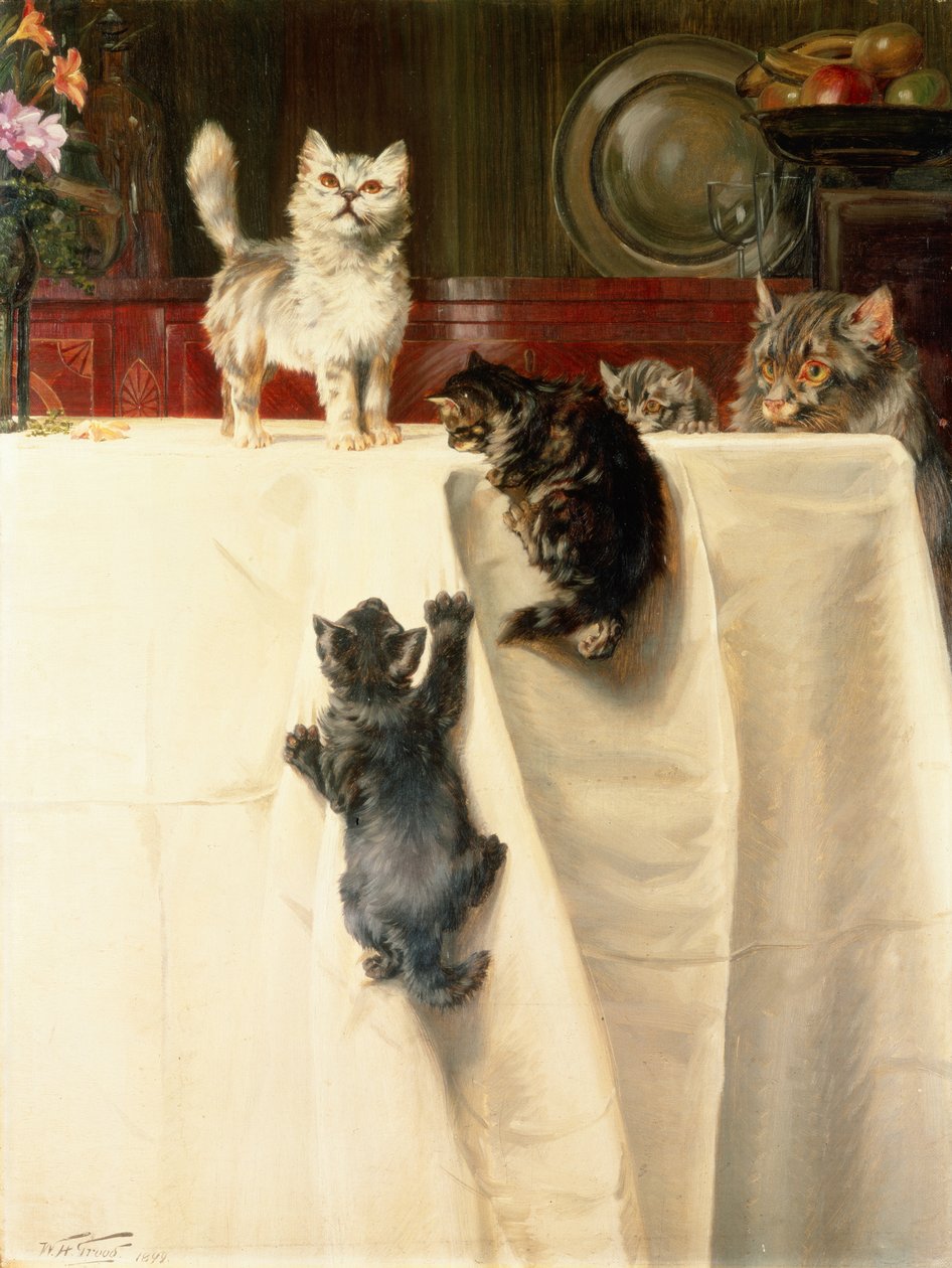 Katter av William Henry Hamilton Trood