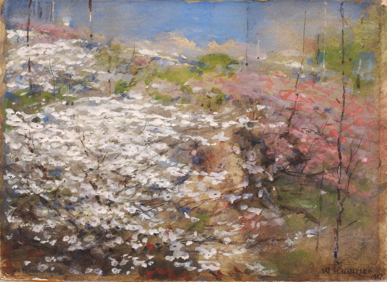  av William Henry Holmes