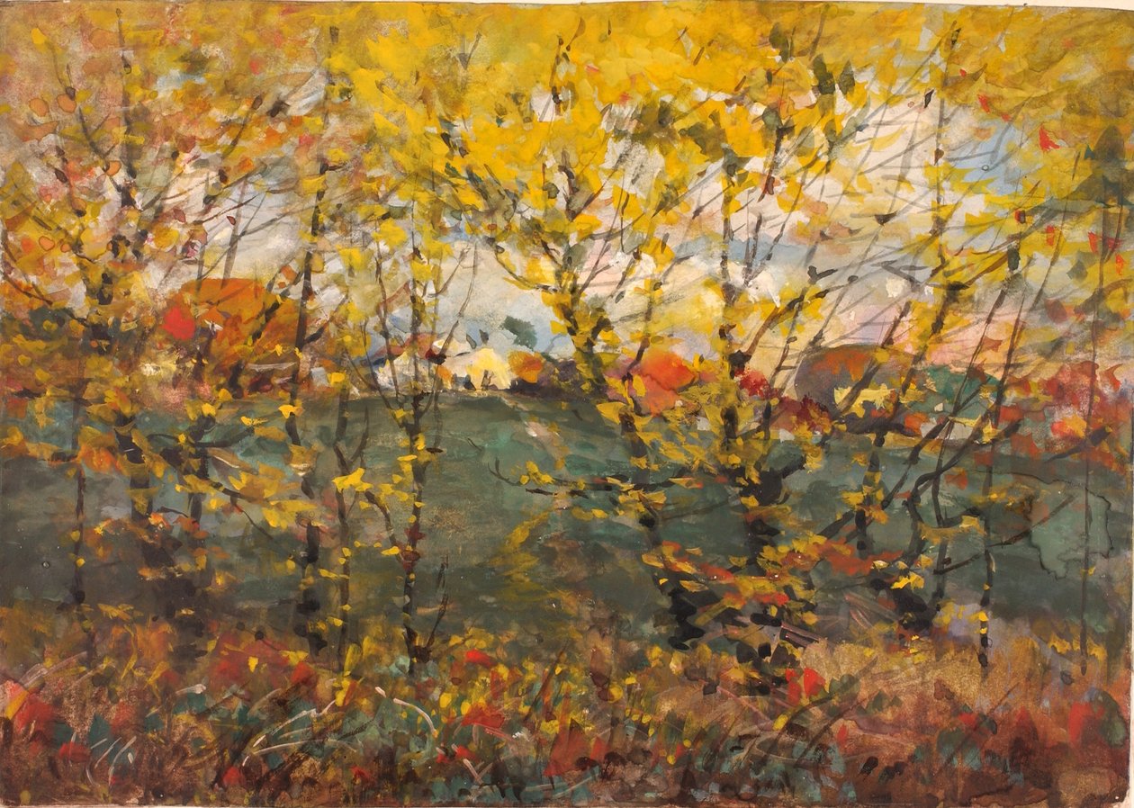  av William Henry Holmes