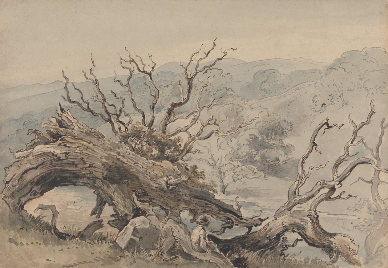 En veltet eik av William Henry Hunt
