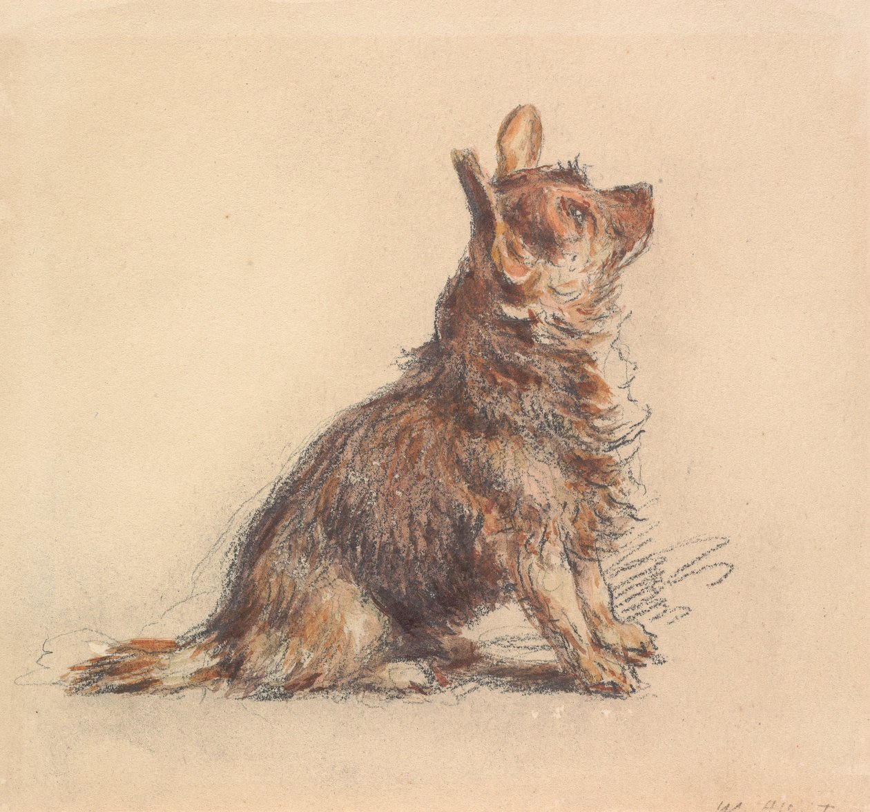 En sittende terrier som ser opp mot høyre av William Henry Hunt