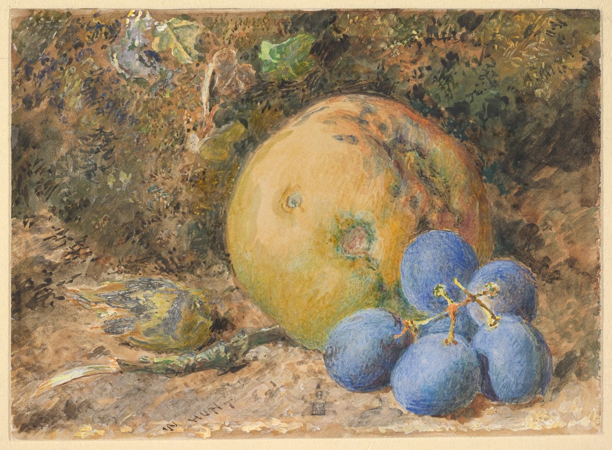 Et eple, druer og en hasselnøtt på en mosegrodd bredd av William Henry Hunt