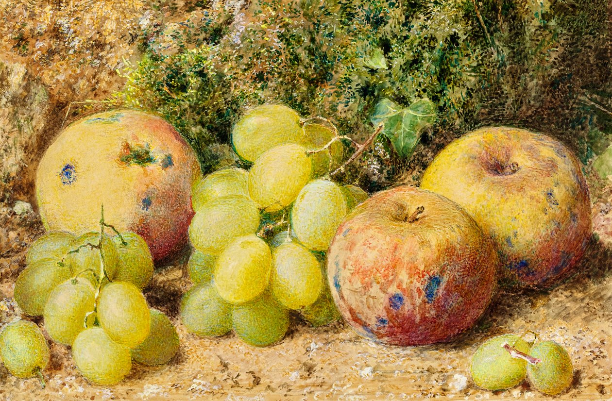 Epler og hvite druer, ca. 1860 (wc på kort) av William Henry Hunt