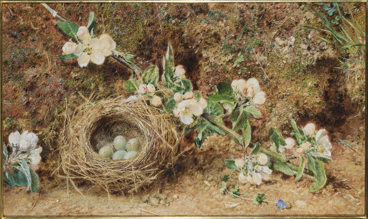 Fuglerede og blomst av William Henry Hunt