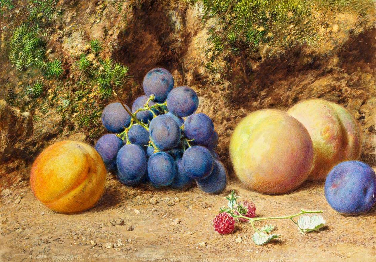 Sorte druer, fersken, aprikoser og bringebær, ca. 1860 av William Henry Hunt