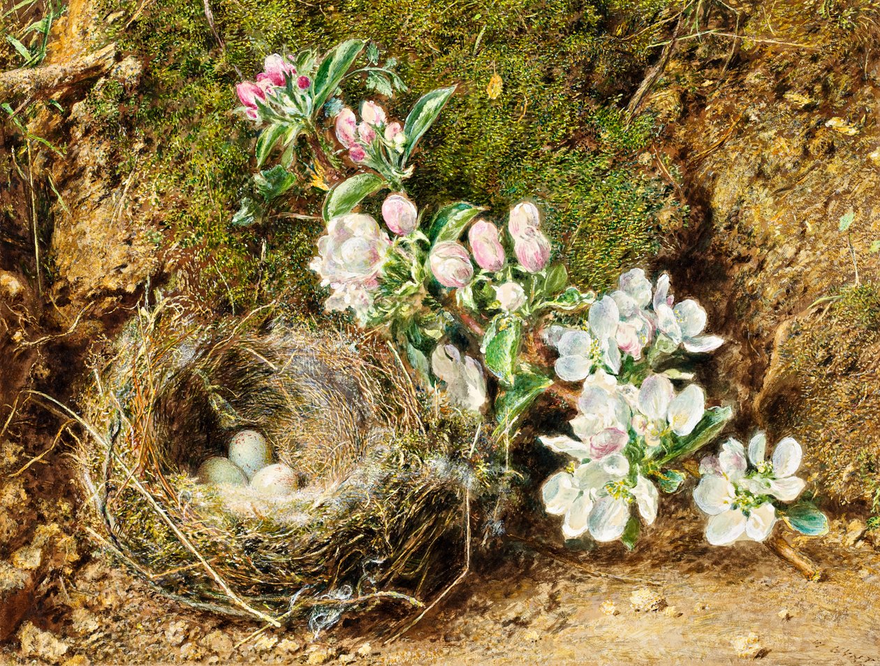 Gren av Apple Blossom og Bird