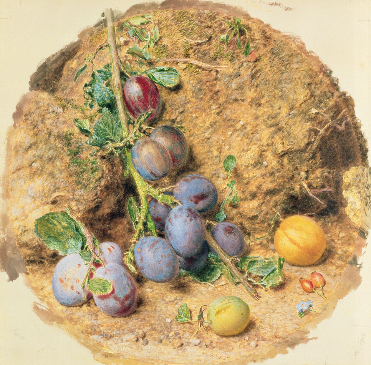 Plommer av William Henry Hunt