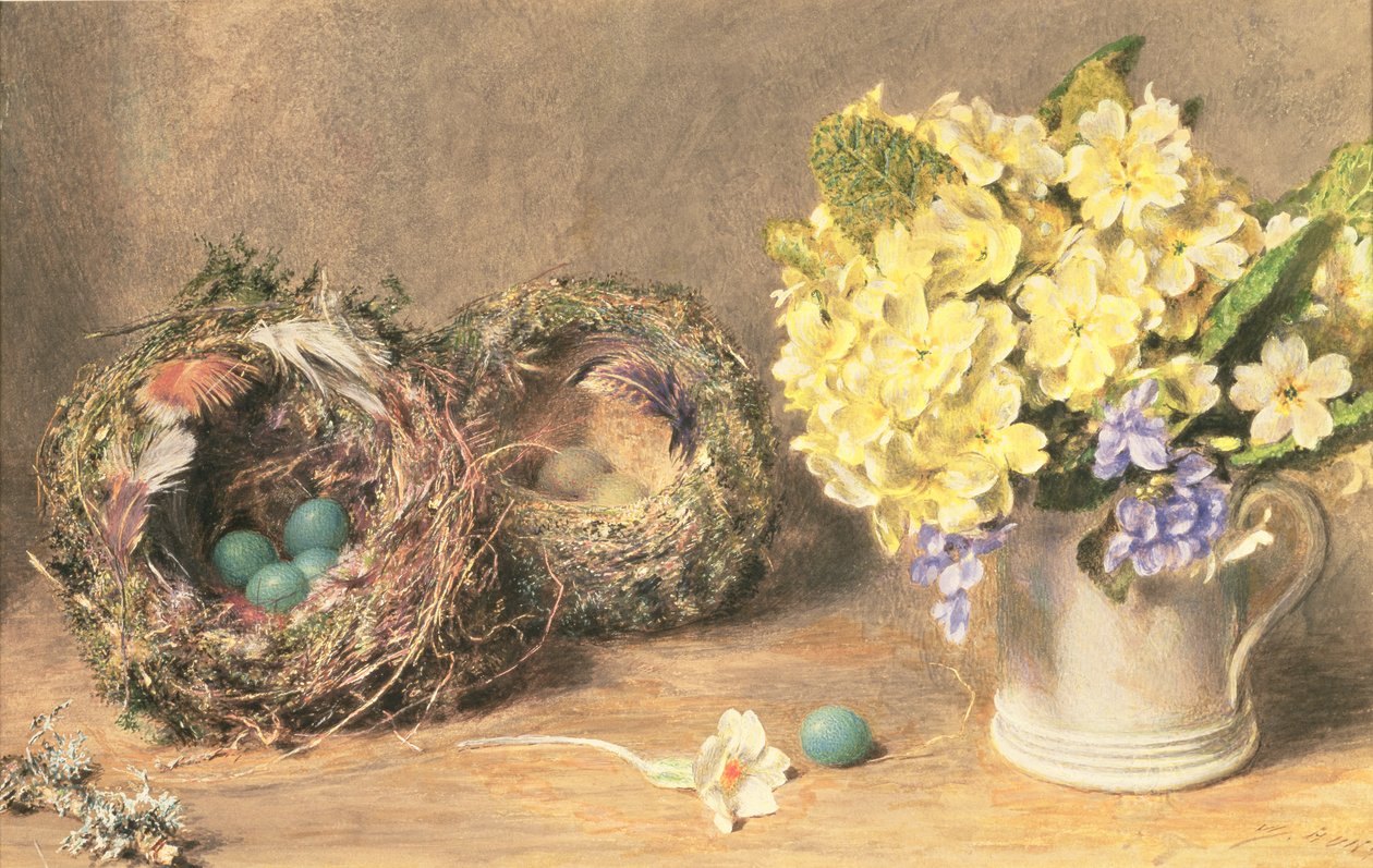 Vårblomster og fuglereder, ca. 1830 (akvarell og kroppsfarge på papir) av William Henry Hunt