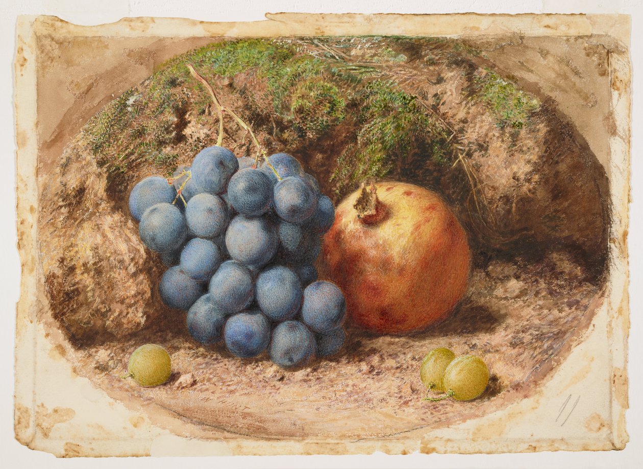 Stilleben med druer og et granateple av William Henry Hunt