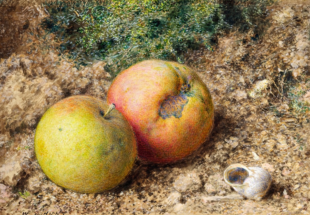 Stilleben med to epler og et sneglehus av William Henry Hunt