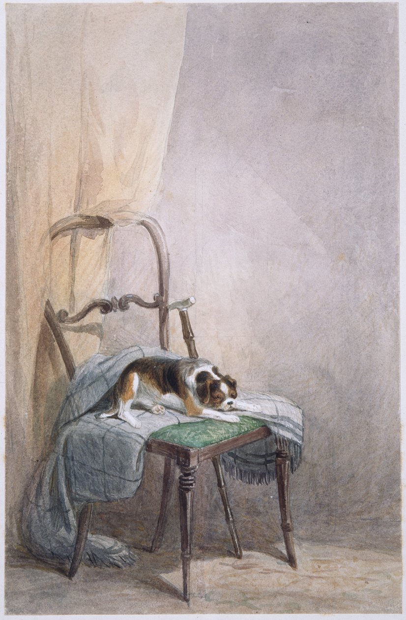 Studie av en hund på en stol (akvarell på papir) av William Henry Hunt