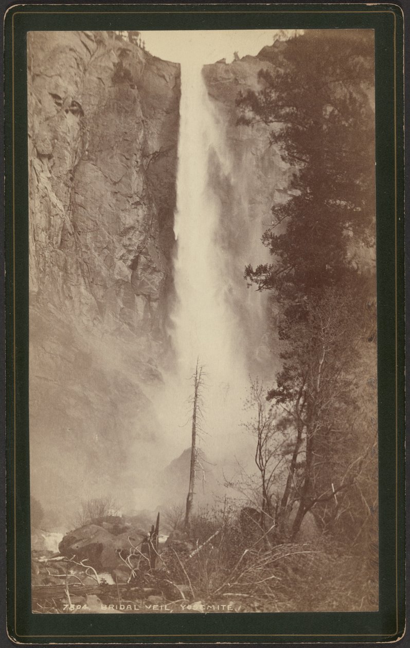  av William Henry Jackson