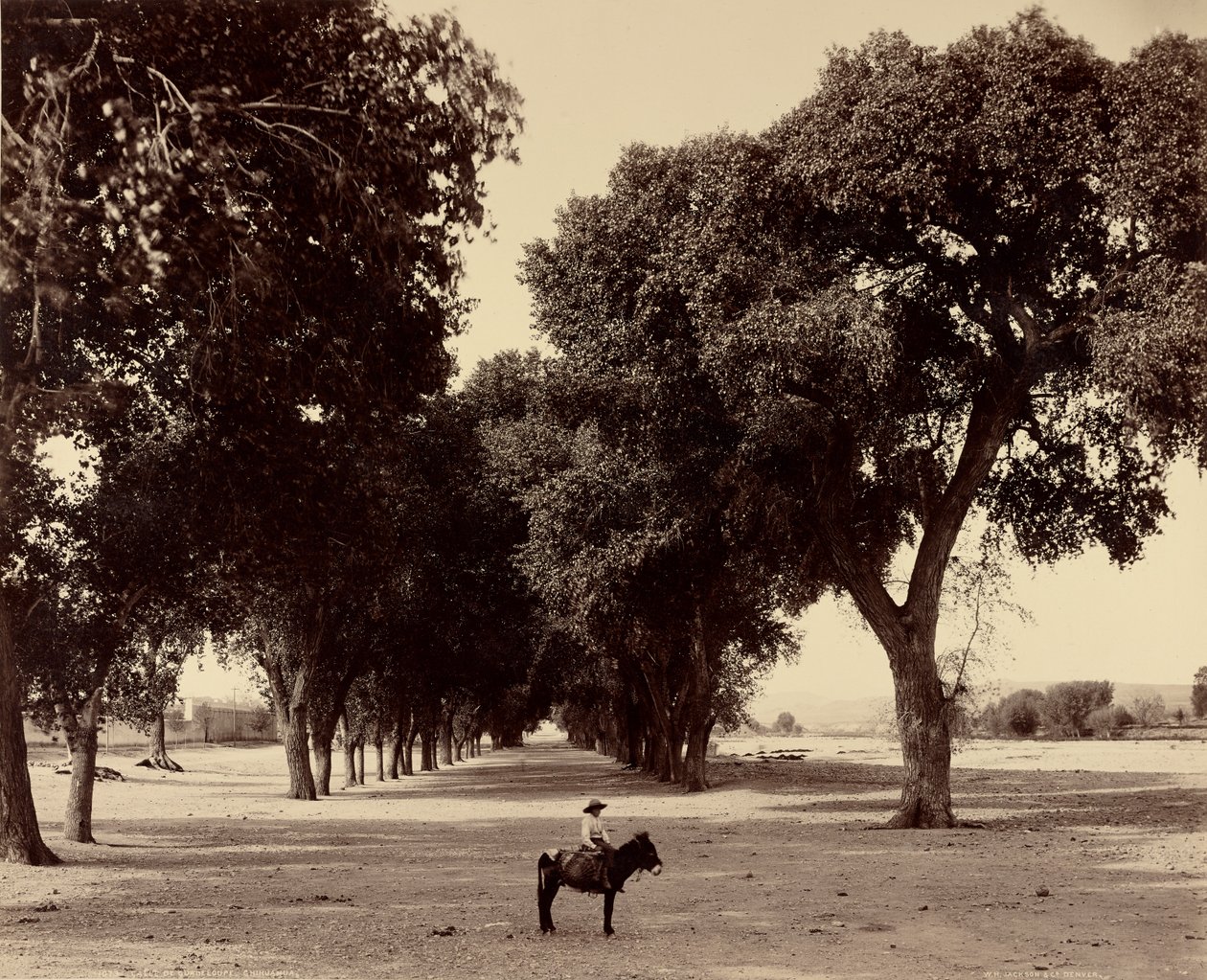 [Calle de Guadeloupe, Chihuahua, Mexico] av William Henry Jackson
