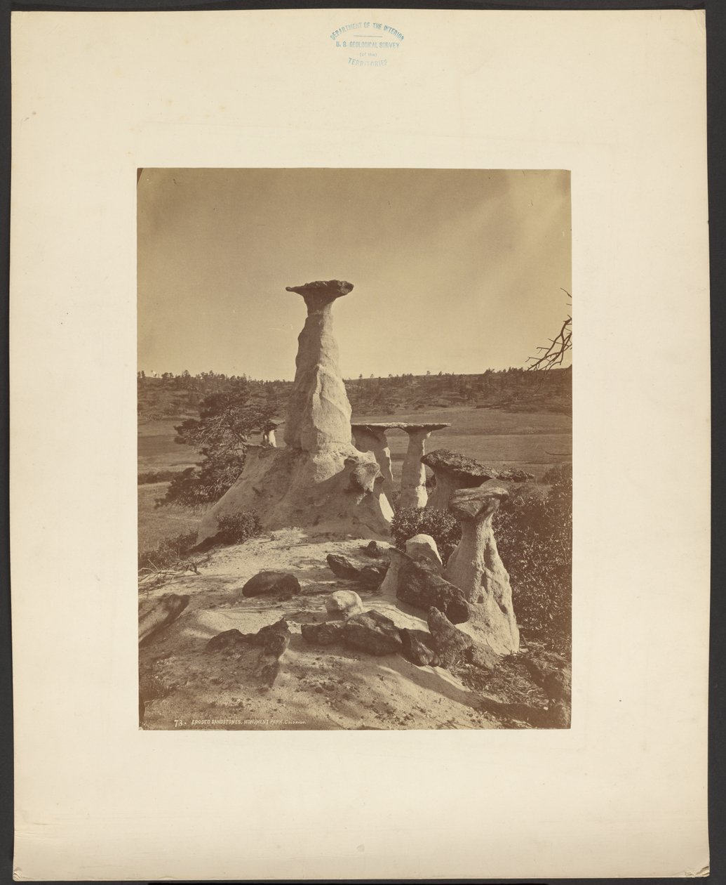  av William Henry Jackson