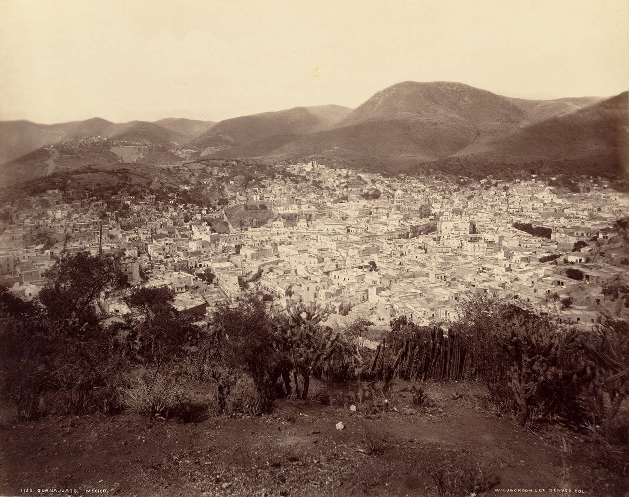  av William Henry Jackson