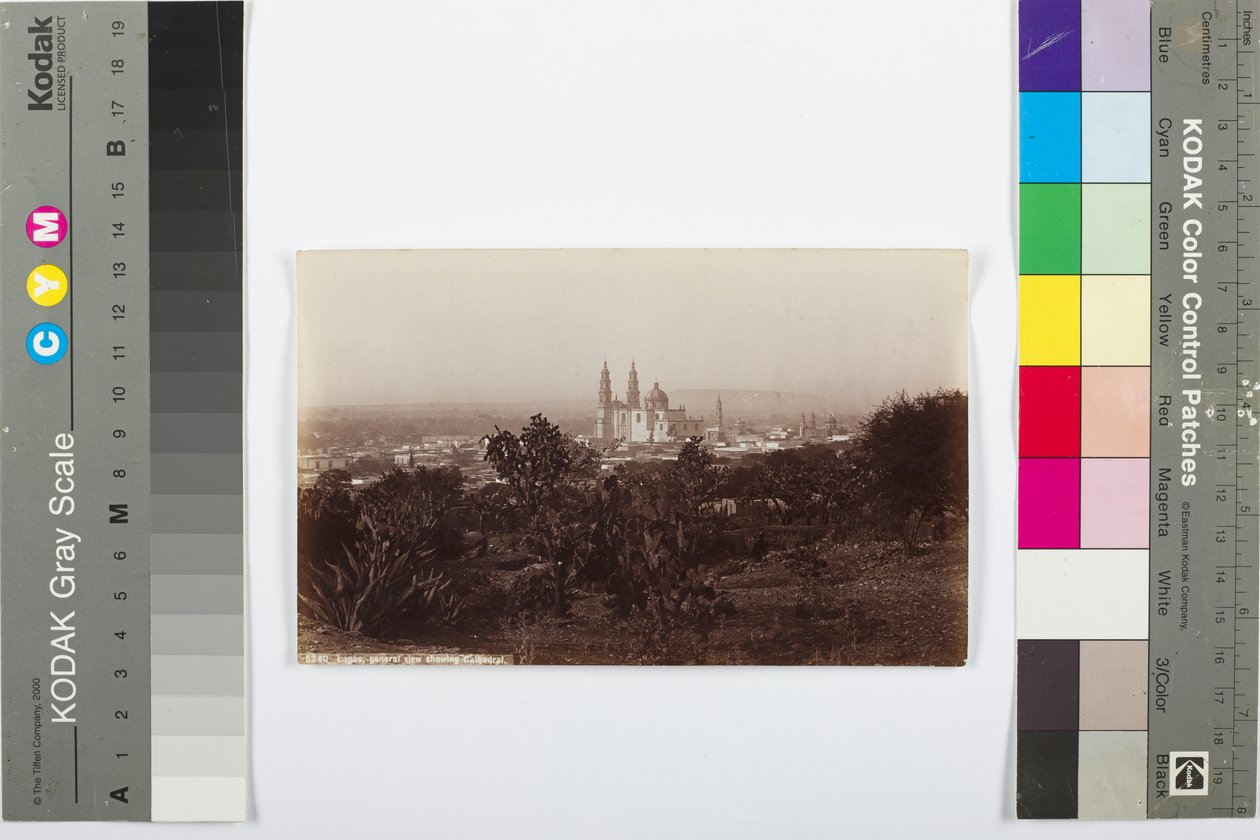 Lagos, generell visning som viser katedralen, 1883–1884 (albumintrykk) av William Henry Jackson