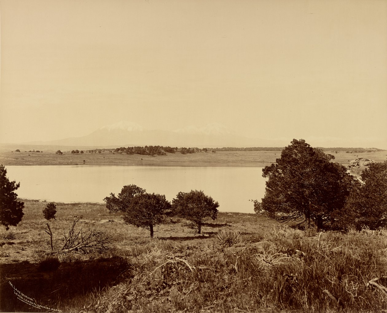  av William Henry Jackson