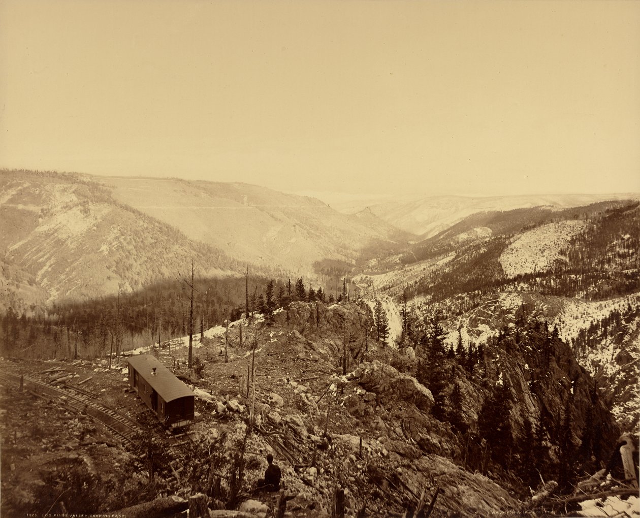  av William Henry Jackson