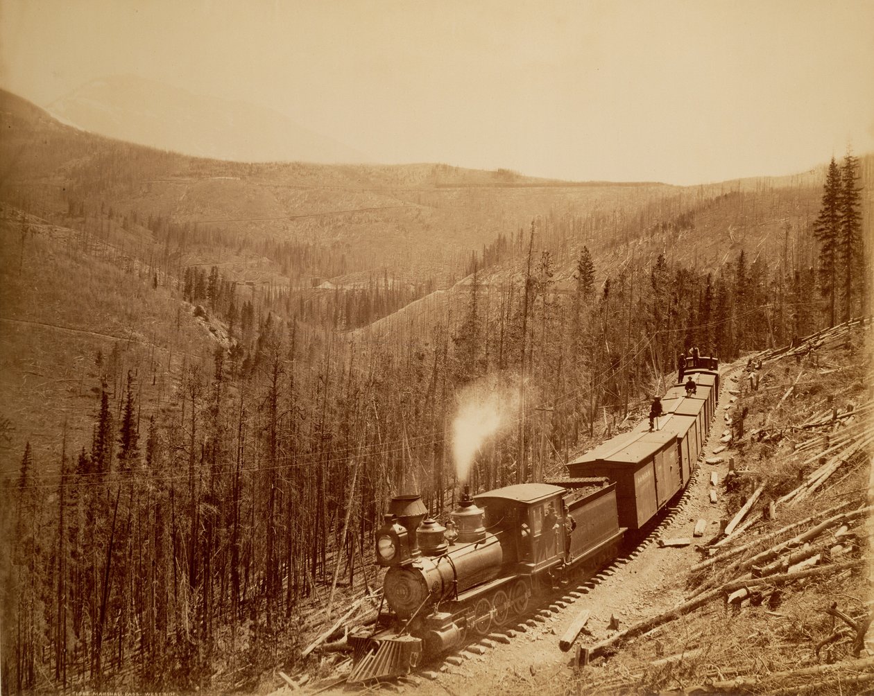  av William Henry Jackson