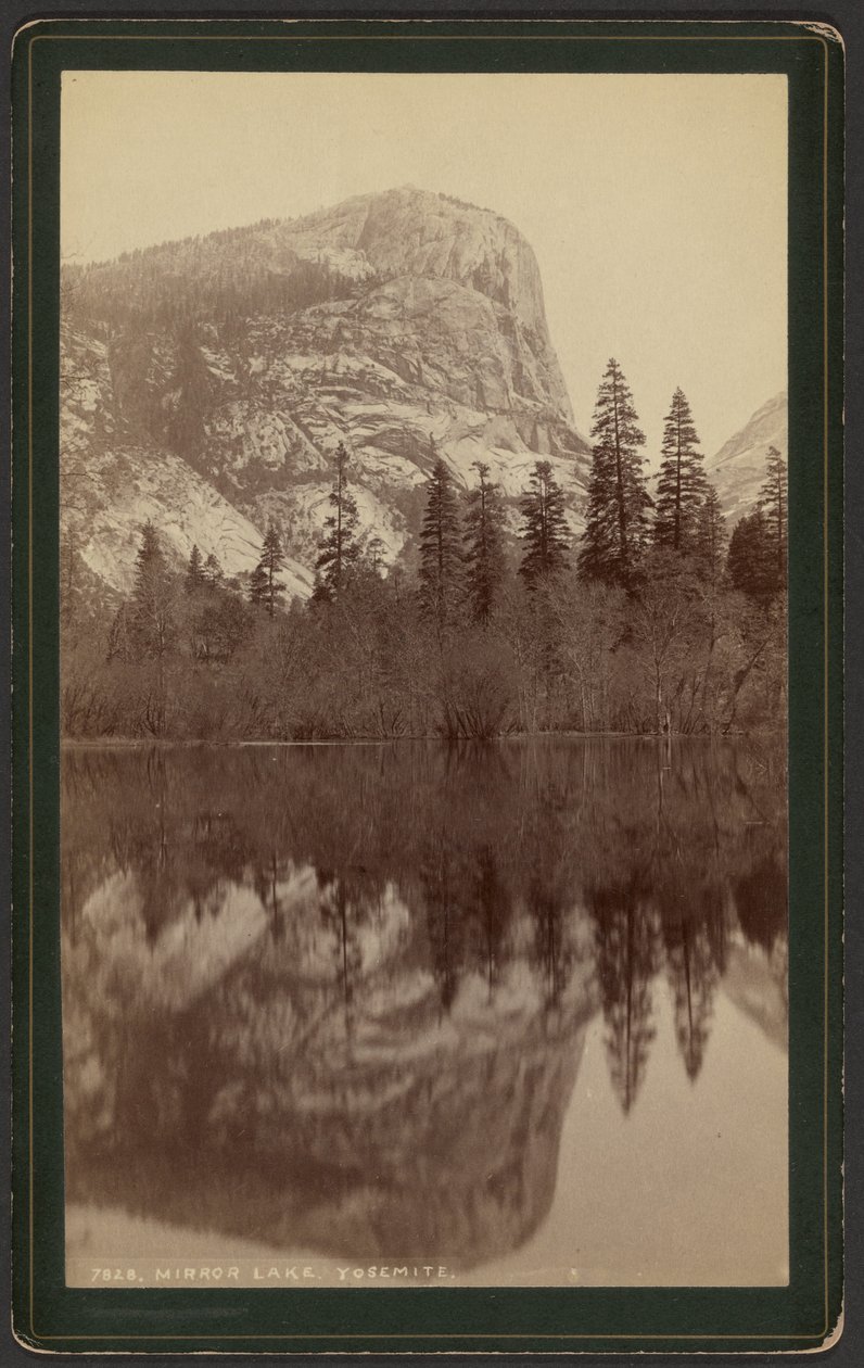  av William Henry Jackson