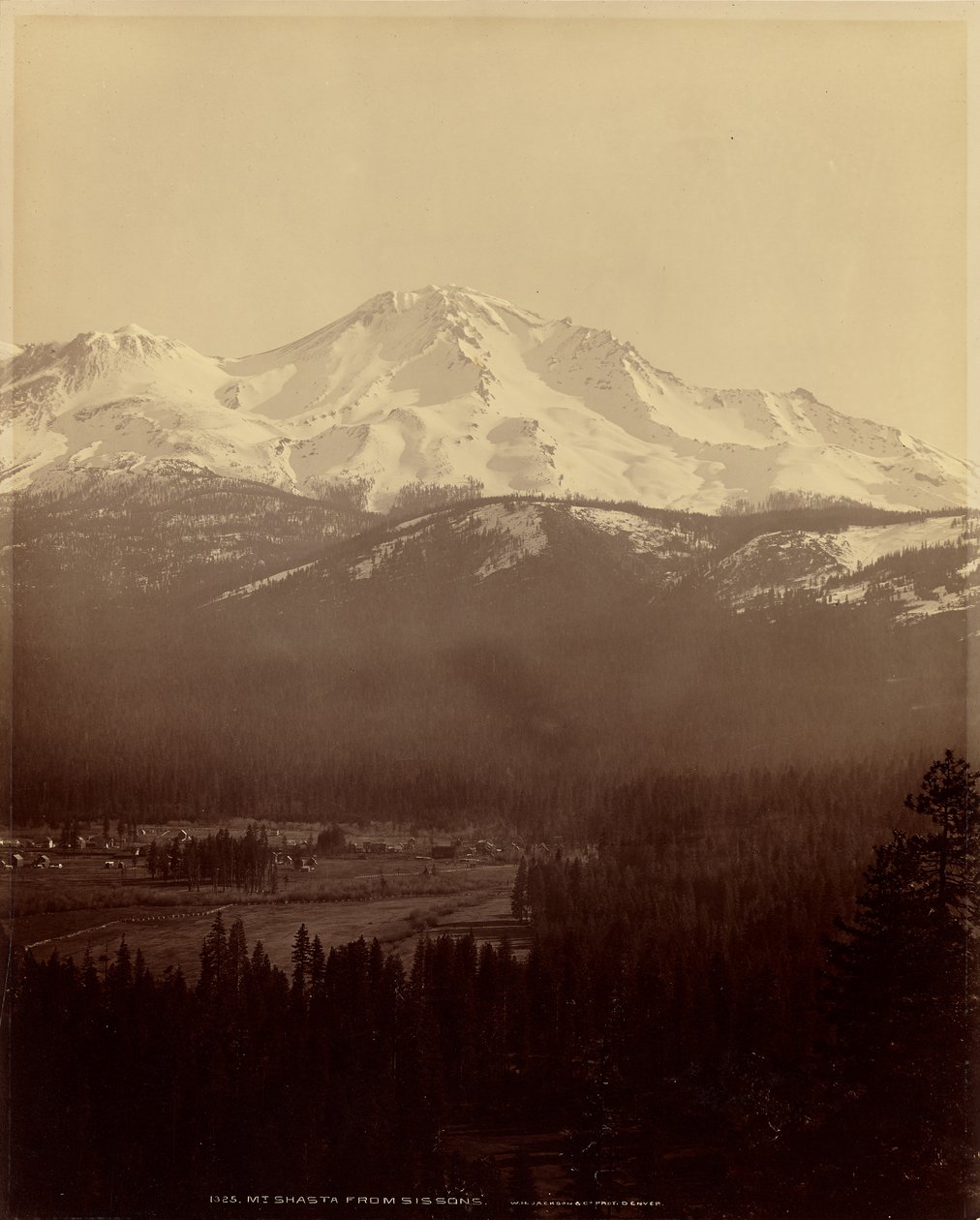 Mount Shasta sett fra Sisson av William Henry Jackson