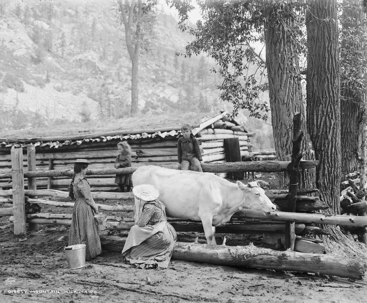 Mountain milk maids in Colorado, c.1900 (b/w photo) av William Henry Jackson