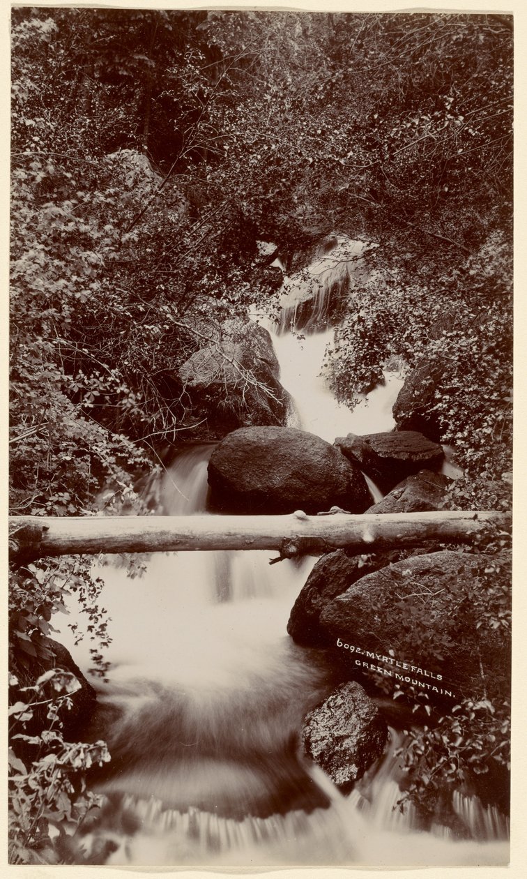 [Myrtle Falls, Green Mountain, Colorado] av William Henry Jackson