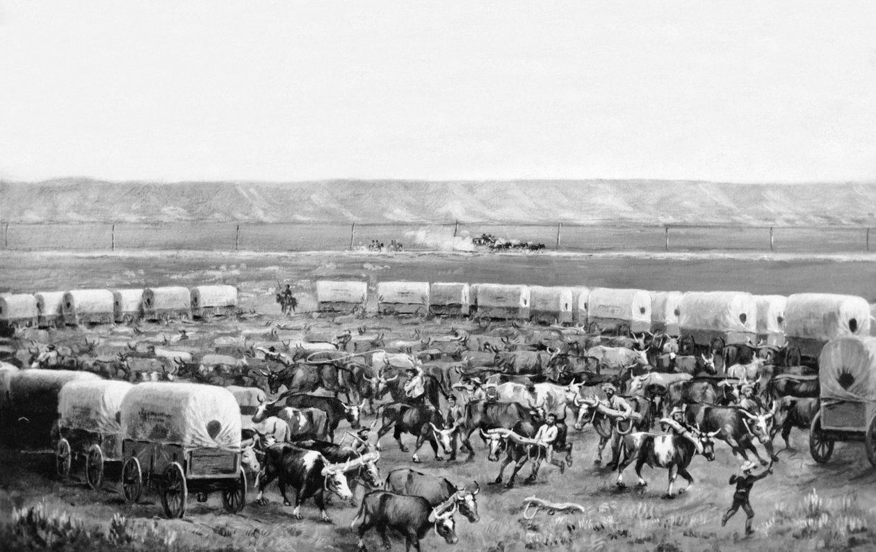 Okser som blir satt opp i en innhegning av overbygde vogner i et maleri av W. H. Jackson, Scotts Bluff, Nebraska: ca. 1875 av William Henry Jackson