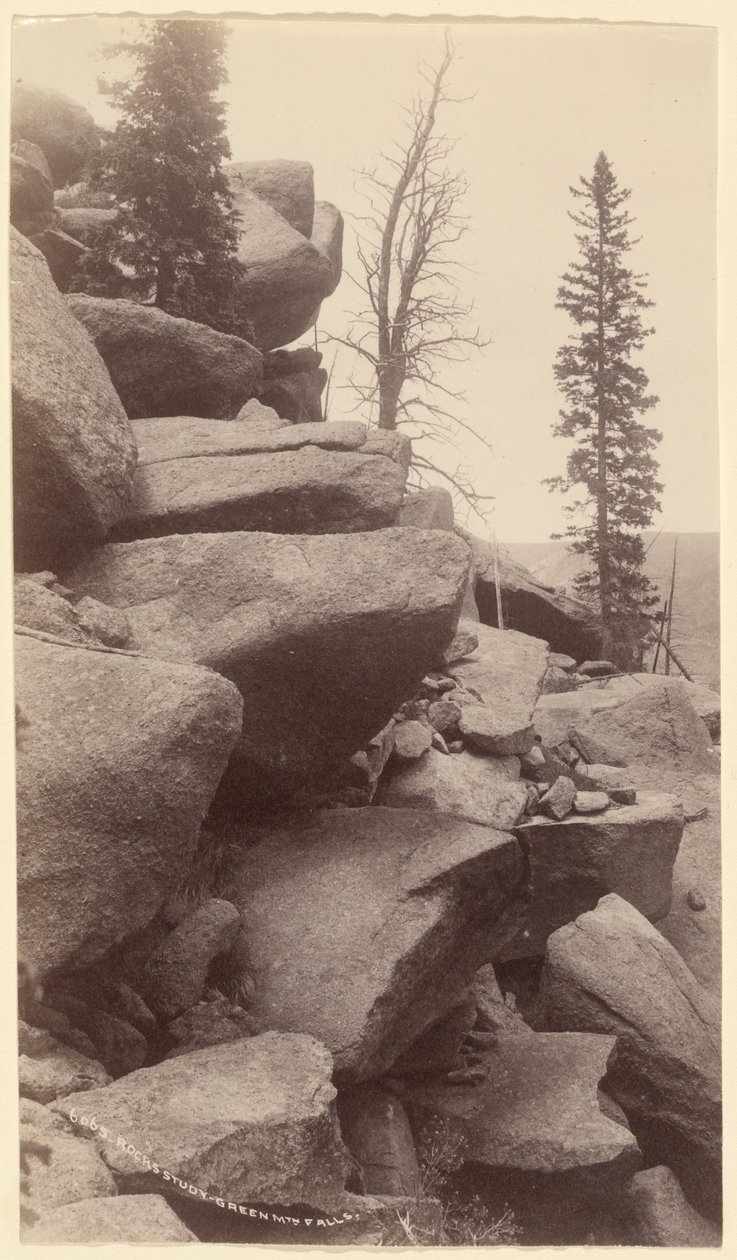  av William Henry Jackson