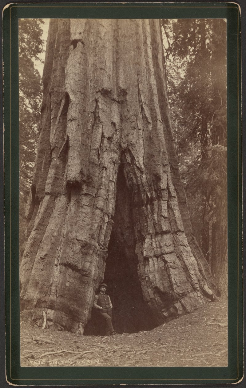  av William Henry Jackson