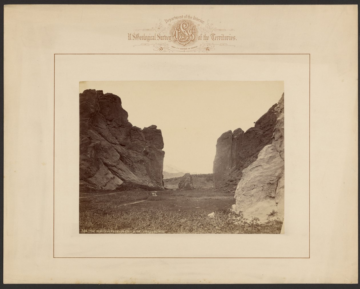  av William Henry Jackson