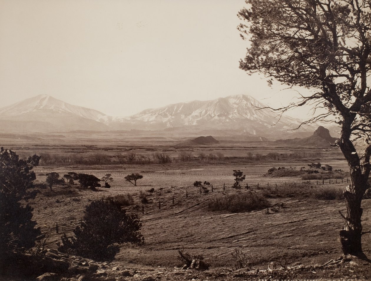  av William Henry Jackson