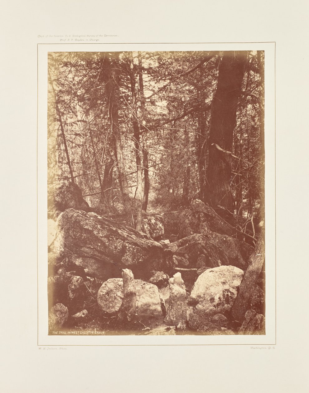  av William Henry Jackson