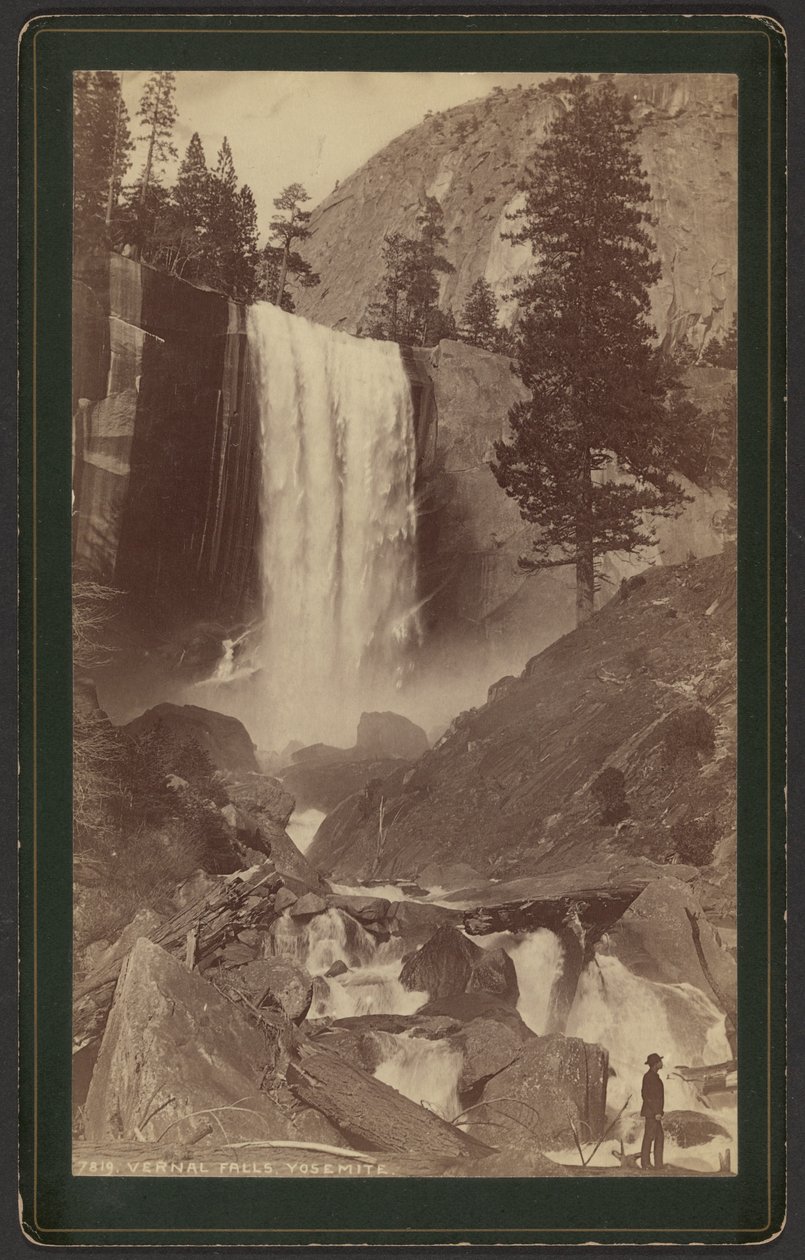 av William Henry Jackson