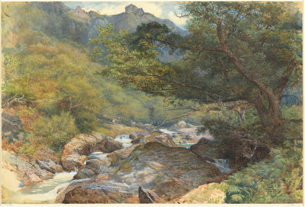På East Lyn, North Devon av William Henry Millais