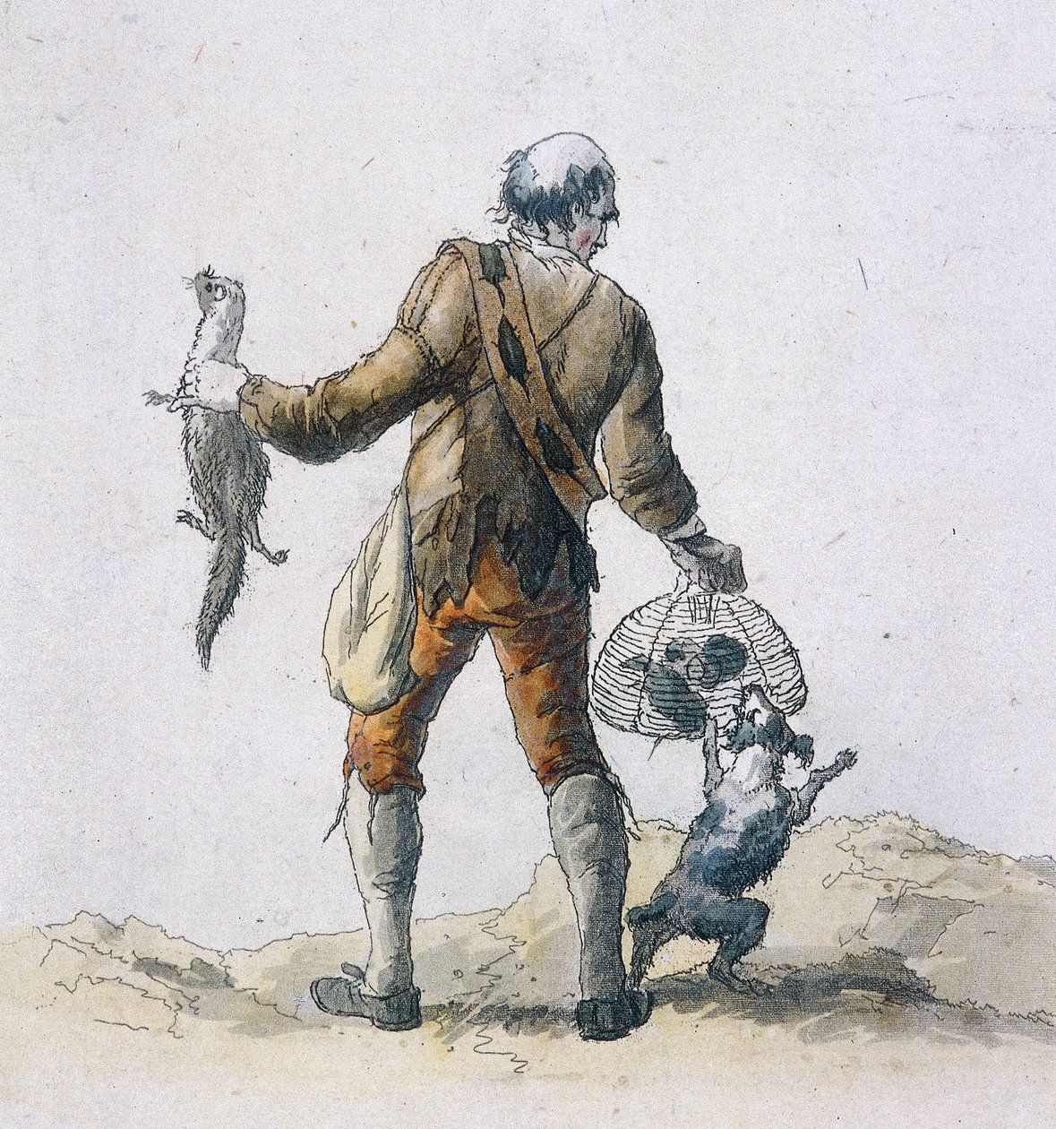 En rottefanger, Provincial Characters, 1804 av William Henry Pyne