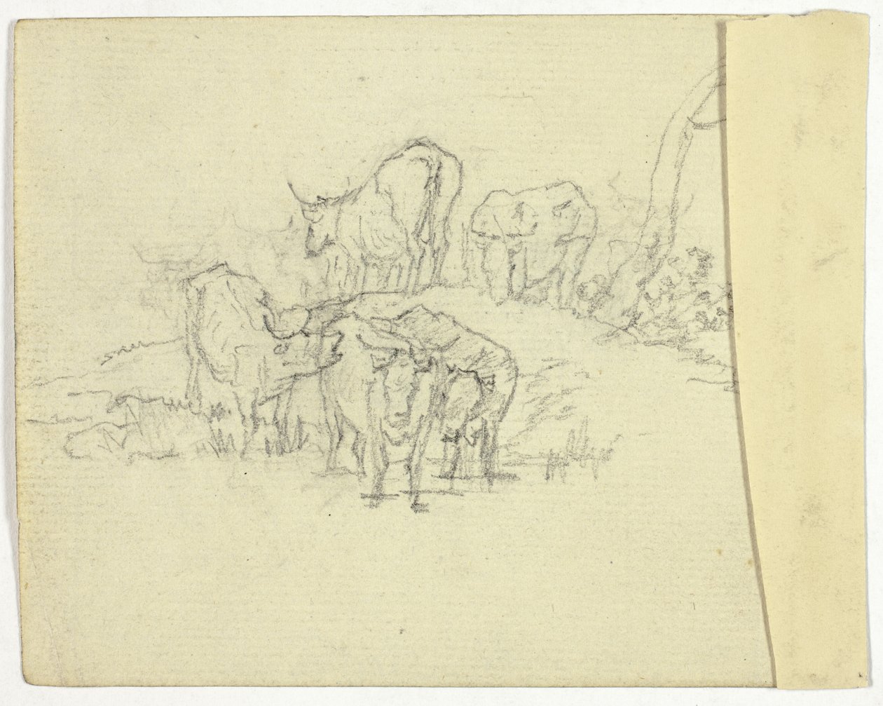 Storfe (recto); The Charlatan (verso) av William Henry Pyne
