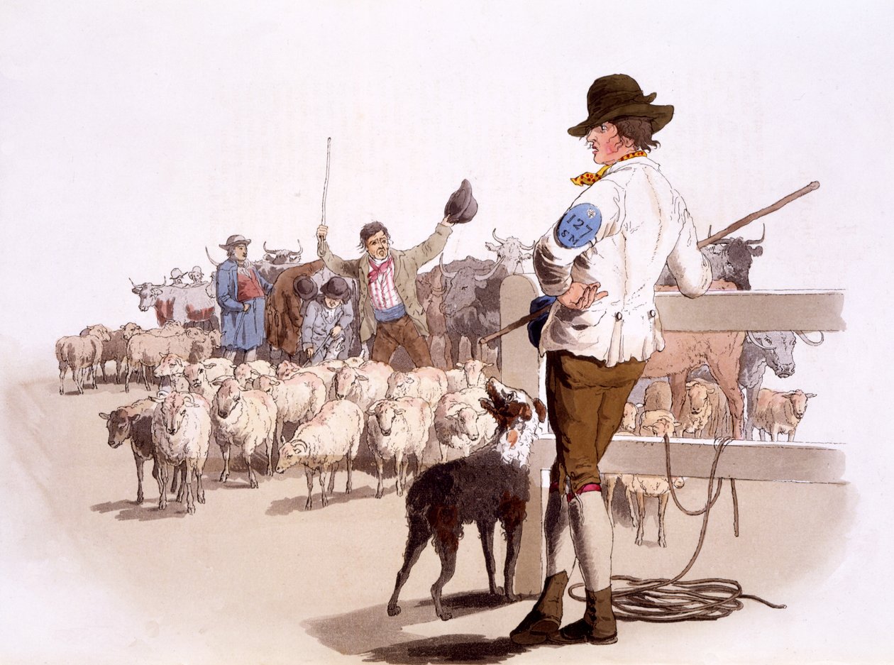 Herdsmen av sauer og storfe, fra The Costumes of Great Britain, pub. Av Henry Miller, 1805 (håndfarget trykk) av William Henry Pyne
