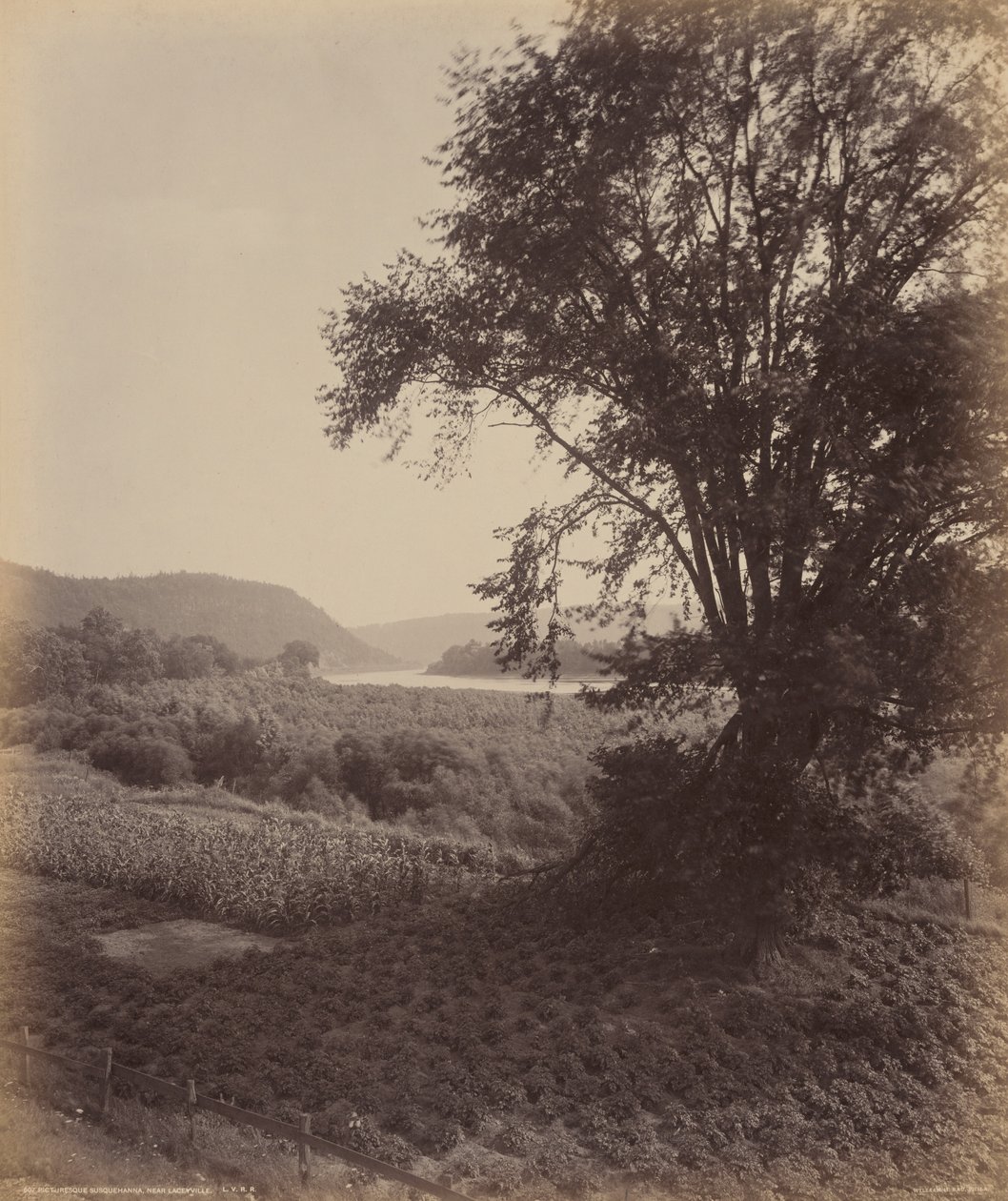  av William Herman Rau