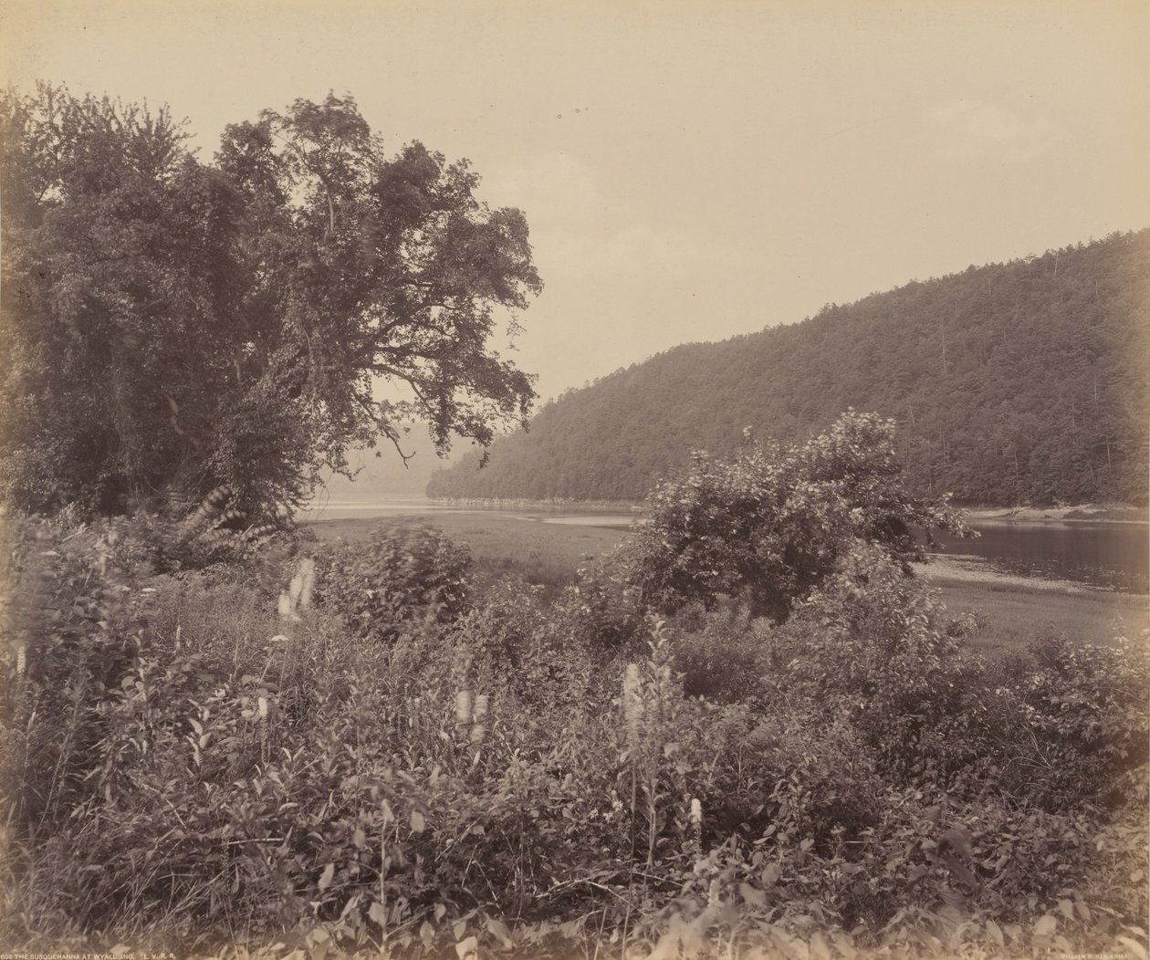  av William Herman Rau